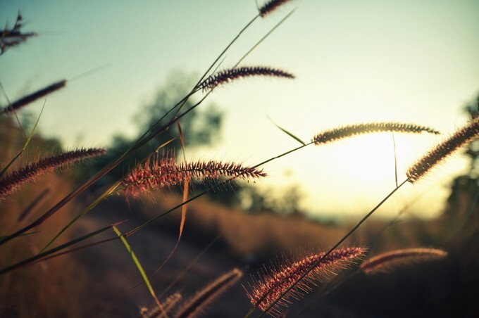 Nature at the best